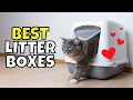 The Best Cat Litter Boxes of 2025 Approved by Cats