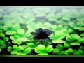 Download Lagu Black Clover opening 6 full ||Rakugaki Page|| - by Kankaku Piero