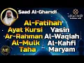 Download Lagu Al Fatihah,Ayat Kursi,Surah Yasin,Ar Rahman,Al Waqiah,Al Mulk,Al Kahfi,Maryam,Taha By Saad Al-Ghamdi