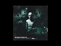 Download Lagu Graphic Nature - Who Are You When No One Is Watching (Instrumental Only) - Full Album 2024 [2.5]