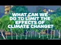 what can we do to limit the effects of climate change