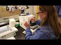 Bayhealth Laboratories A Behind the Scenes Look