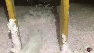 Contaminated Insulation Replacement at a House in Zebulon Georgia