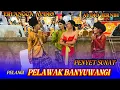 Lagu PELANGI(PELAWAK BANYUWANGI) Plecer, Kenthus,Gopel,Plecer//live Alas Malang 2025 ERLANGGA AUDIO 