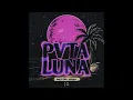 Neton Vega - PVTA LUNA (SLOWED + REVERB)