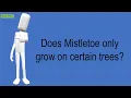 Does Mistletoe Only Grow On Certain Trees