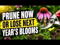 August Is Your Last Chance To Prune These 5 Plants Before It s Too Late For Next Year
