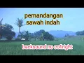 Pemandangan sawah dan gunung dan backsound pedesaan no cofiright
