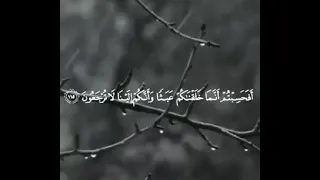 المنشاوي  أفحسبتم أنما خلقناكم عبثا  دندنها