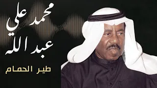 محمد علي عبد الله طير الحمام 