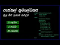 OL ICT Grade 11 Pascal Programming Part 3 Sinhala Tutorial lesson 01 O l ICT Hashani Rajapaksha