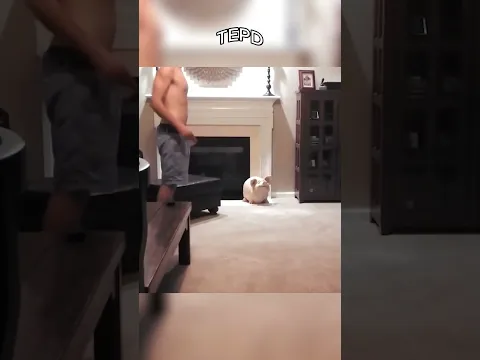 Este gato deu muito azar 😅🐱