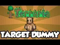 First How to make Terraria Training Dummy s