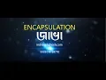 What is Encapsulation in Object Oriented Programming Explained in Bangla Learn Java In Bangla