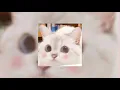 Download Lagu Mood - (sped up)