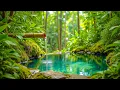 Download Lagu Beautiful bamboo Piano • Serene Melodies for Reflection \u0026 Relaxation
