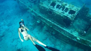 The COLOURFUL city of the DUTCH Caribbean (Curacáo) | Sailing Merewether | Ep 57 |