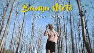 Download safira inema sampai kapan kan kau buktikan MP3