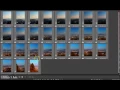Batch edit files with Canon Digital Photo Professional 4