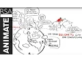 RSA ANIMATE The Empathic Civilisation