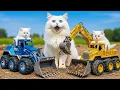 Download Lagu Mama Cat \u0026 Kitten Rescues Tiger Cub From House Fire 🔥 Drive Excavator, Truck \u0026 Crane Together 🐯🐱🐾❤️