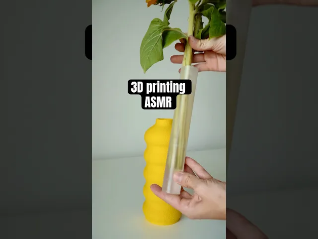 SUNNIA vase video thumbnail