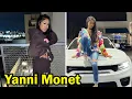Yanni Monet Influence City 5 Things You Didn t Know About Yanni Monet