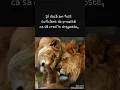 Download Lagu Tu ai iubi un om ca tine