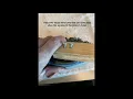 Champ Fast Twist Golf Spike Removal Replacement