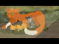 Warrior Cat Full Map Treat you better AshFur vs BrambleClaw