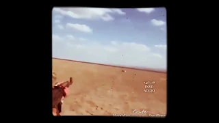 صيد الغزلان كلاشنكوف 