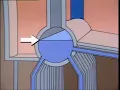 How Watertube Boilers Work