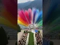 Download Lagu Wedding Fireworks #wedding #love #couple #shorts #shortfeed #party #beach #happy #song #firework #1k