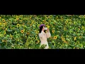 Download Lagu Take the smile of sunflowers as Nanjing's autumn gift to you!