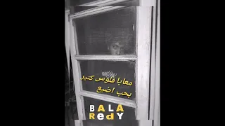                            باله   ريدي دندنها