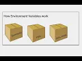 What are environment variables How do they work