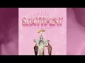 PLL - Shattiment (BOH MZK REMIX)