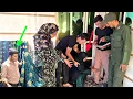 Download Lagu The Freedom of Ms. Sari Jan: A Historic Moment and Ms. Zahra's Wedding Dress!