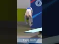 Michelle HEIMBERG 🤩 Round 3 🤩 Women's 3m Springboard Final 🤩 European Games 2023