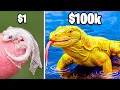1 vs 100 000 Pet Lizard