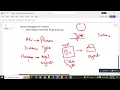 Object Oriented Programming - Lecture 1