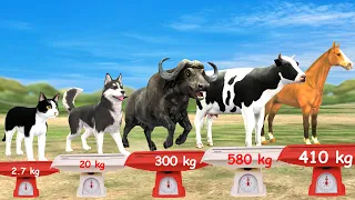 Biggest Farm Animals Size Comparison | Smallest to Largest