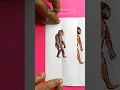 humans evolution