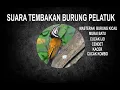 Download Lagu Masteran suara burung Pelatuk, ampuh untuk masteran  MURAI, CUCAK IJO, KACER, cendet, kecial kombok