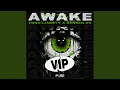 Download Lagu Awake (VIP)