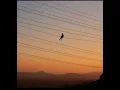 Download Lagu Riovaz-Eternal Sunshine 8D (USE HEADPHONES)