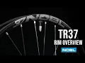 NOBL TR37 Carbon Rim Overview