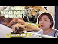 Download Lagu MUSEUM BEA CUKAI CHINA 🇨🇳 | SITAAN NILAI TINGGI | SEJARAH PABEAN