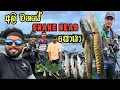 Download Lagu 🎣 Snakehead Fish අල්ලන අපූරු ක්‍රම – ගම්වැව Fishing Part - 01 @Kavishkadilshanwijayarathna 