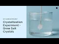 Crystallization Experiment - Grow Salt Crystals DIY Science Project